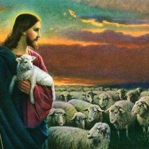 天主教內(nèi)訌---《簡明教會(huì)歷史》告訴你基督教如何發(fā)展到今天？