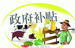 如何申請休閑農(nóng)業(yè)補(bǔ)貼？