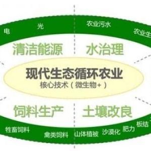 辦一個生態(tài)循環(huán)養(yǎng)殖農(nóng)場需要什么手續(xù)？申請流程是什么？
