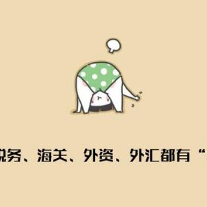 年報大全：個稅、企業(yè)所得稅、出口退稅、工商年報、稅務(wù)年報、海關(guān)年報…