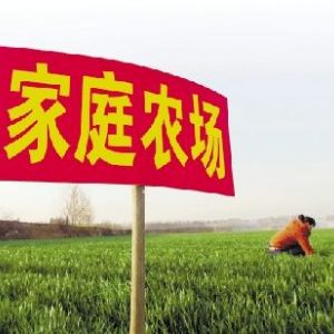 自辦家庭農(nóng)場政府有扶持政策嗎？