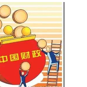 我國(guó)財(cái)政專項(xiàng)資金和政府基金有哪些？