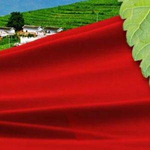 寧南縣工商局關(guān)于開展企業(yè)簡(jiǎn)易注銷登記工作的通知