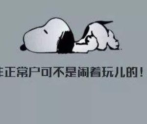 公司被納入非正常戶后如何正常注銷？