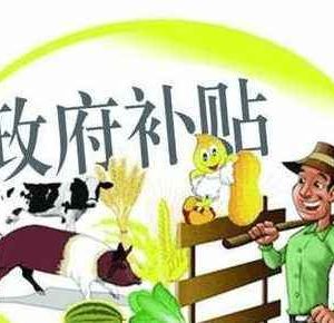 如何快速申請(qǐng)農(nóng)村扶持補(bǔ)貼資金？