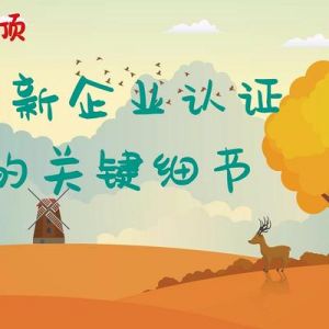 高新技術(shù)企業(yè)認證中有哪些關(guān)鍵細節(jié)？