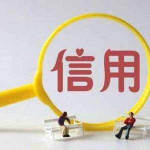 個人征信業(yè)務(wù)蓬勃發(fā)展但有資質(zhì)征信機構(gòu)占比不足5%