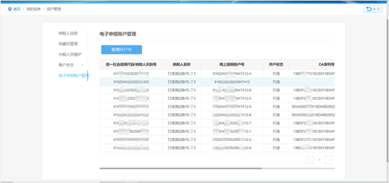 電子申報(bào)賬戶管理