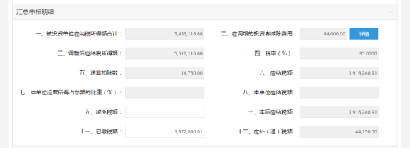 匯總申報明細(xì)填寫