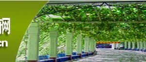 吐魯番市教育局辦公時間地址及政務服務咨詢電話