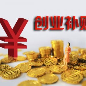 2020年高校畢業(yè)大學(xué)生在深圳創(chuàng)業(yè)補(bǔ)貼怎么領(lǐng)?。? class=