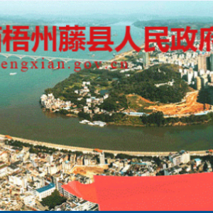 藤縣政務服務中心辦事大廳窗口預約咨詢電話及工作時間