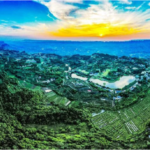 重慶市巴南區(qū)惠民街道辦事處各部門(mén)辦公地址及電話(huà)