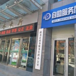 隆堯縣行政審批局（政務服務中心）辦事大廳窗口咨詢電話