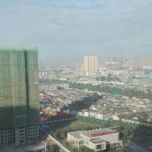 南陽市臥龍區(qū)民政局各部門對(duì)外聯(lián)系電話