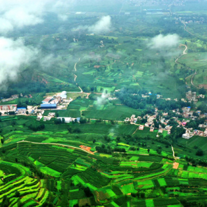 汝陽縣內埠鎮(zhèn)人民政府各部門對外聯系電話