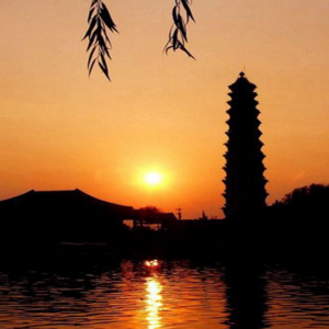 開封市順河回族區(qū)住房和城鄉(xiāng)建設局各科室對外聯(lián)系電話