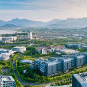 德州運河經(jīng)濟開發(fā)區(qū)中服務(wù)中心辦事大廳各窗口咨詢電話