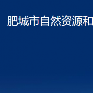 肥城市不動產登記中心對外聯系電話及地址