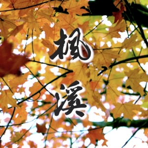 潮州市楓溪區(qū)各辦事處公共服務(wù)中心地址工作時(shí)間和咨詢(xún)電話