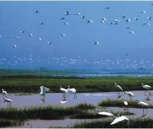 溫州市政務(wù)服務(wù)局各部門(mén)負(fù)責(zé)人及聯(lián)系電話