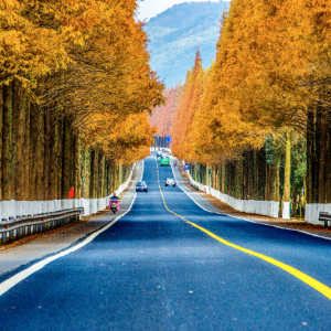 寧?？h人民政府辦公室各部門對外聯(lián)系電話