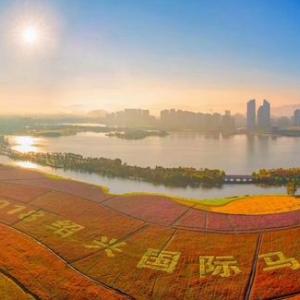 紹興市越城區(qū)人民政府辦公室各部門(mén)負(fù)責(zé)人和聯(lián)系電話(huà)