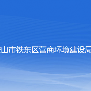 鞍山市鐵東區(qū)事業(yè)單位設立、變更、注銷登記操作指南