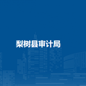 梨樹(shù)縣審計(jì)局各部門(mén)負(fù)責(zé)人和聯(lián)系電話