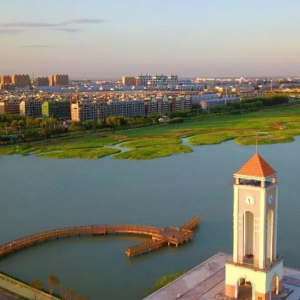 鎮(zhèn)賚縣政府各職能部門政務公開聯系電話