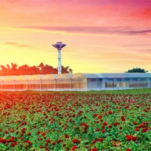 南寧市西鄉(xiāng)塘區(qū)政府各職能部門(mén)地址工作時(shí)間和聯(lián)系電話