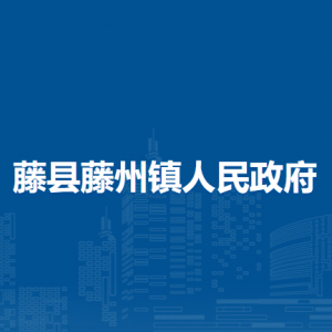 藤縣藤州鎮(zhèn)政府各部門負責人和聯系電話