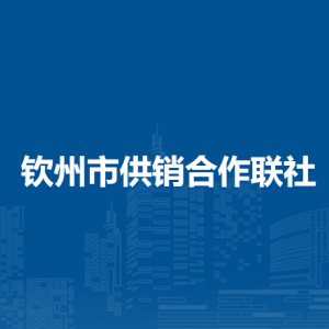 欽州市供銷合作聯社各部門負責人和聯系電話
