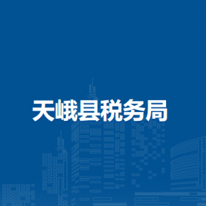 天峨縣稅務(wù)局辦稅服務(wù)廳辦公時間地址及納稅服務(wù)電話
