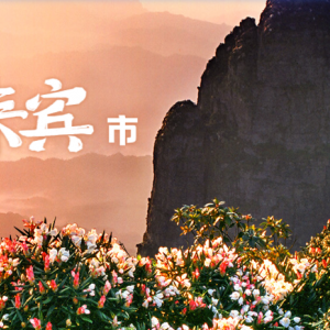 來賓市政府各職能部門地址工作時間和聯(lián)系電話