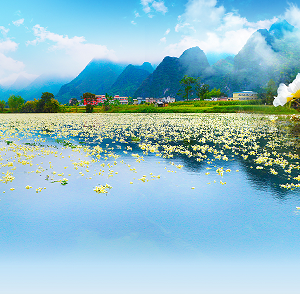 都安縣各鄉(xiāng)鎮(zhèn)政府工作時間和聯(lián)系電話