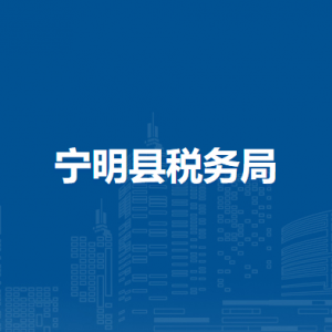 寧明縣稅務(wù)局辦稅服務(wù)廳辦公時(shí)間地址及納稅服務(wù)電話