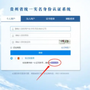 貴州省企業(yè)名稱開放查詢服務(wù)系統(tǒng)名稱申請(qǐng)操作指南