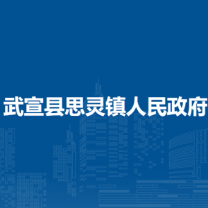 武宣縣思靈鎮(zhèn)政府各部門負責人和聯(lián)系電話