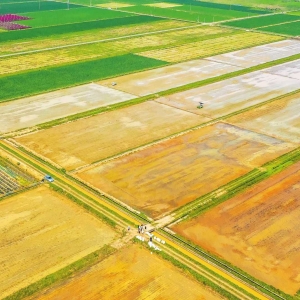 正安縣企業(yè)注銷登記“一件事”申請操作步驟及申請材料