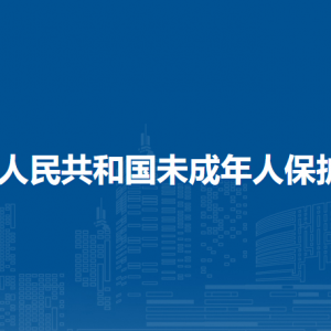 中華人民共和國(guó)未成年人保護(hù)法（全文）