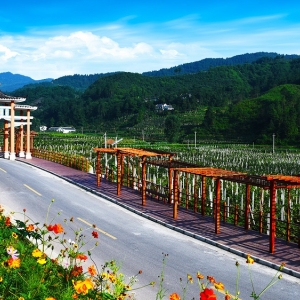 開陽縣紫興街道辦事處各部門工作時間及聯(lián)系電話