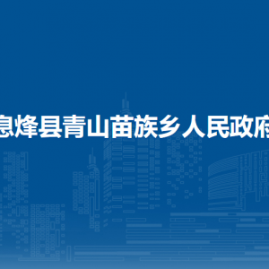 息烽縣青山苗族鄉(xiāng)黨務(wù)政務(wù)服務(wù)中心