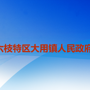 六盤水市六枝特區(qū)大用鎮(zhèn)政府各部門工作時間和聯(lián)系電話