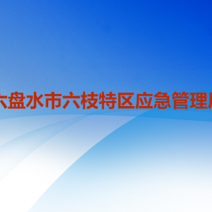 六盤(pán)水市六枝特區(qū)應(yīng)急管理局各部門職責(zé)及聯(lián)系電話