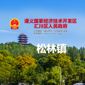 遵義市匯川區(qū)松林鎮(zhèn)政府各部門負責人和聯(lián)系電話