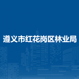 遵義市紅花崗區(qū)林業(yè)局各部門負責人和聯系電話