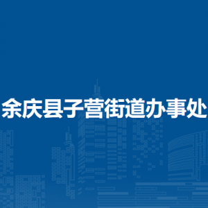 余慶縣子營(yíng)街道辦事處?黨務(wù)政務(wù)服務(wù)中心