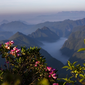 道真縣各鄉(xiāng)鎮(zhèn)政府（街道辦事處）工作時(shí)間和聯(lián)系電話