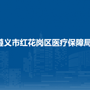 遵義市紅花崗區(qū)醫(yī)療保障局監(jiān)管股(政策法規(guī)股)